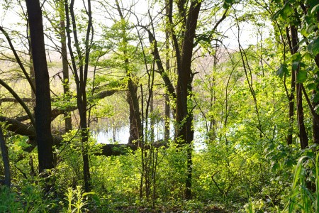 Rezervatia naturala de la Reci|365romania.ro
