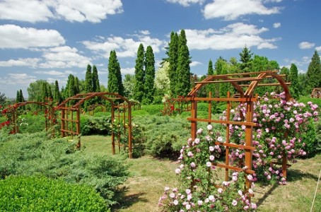 Gradina Botanica Anastasie Fatu din Iasi | 365romania.ro