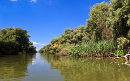 Parcul Natural Balta Mica a Brailei | 365romania.ro
