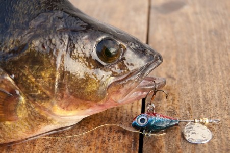 Balta Magura 9 pescuit sportiv crap|365romania.ro